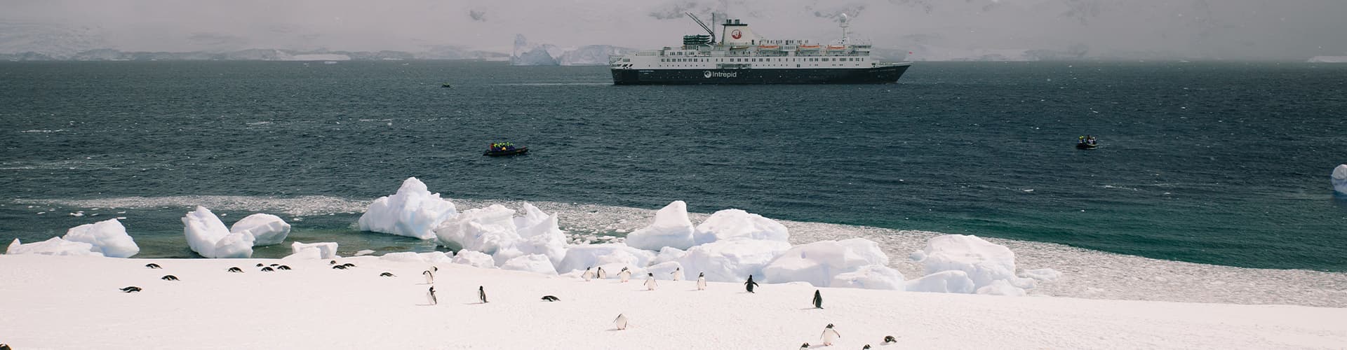Penguins on shore with Antarctic Ocean Endeavour in the background
