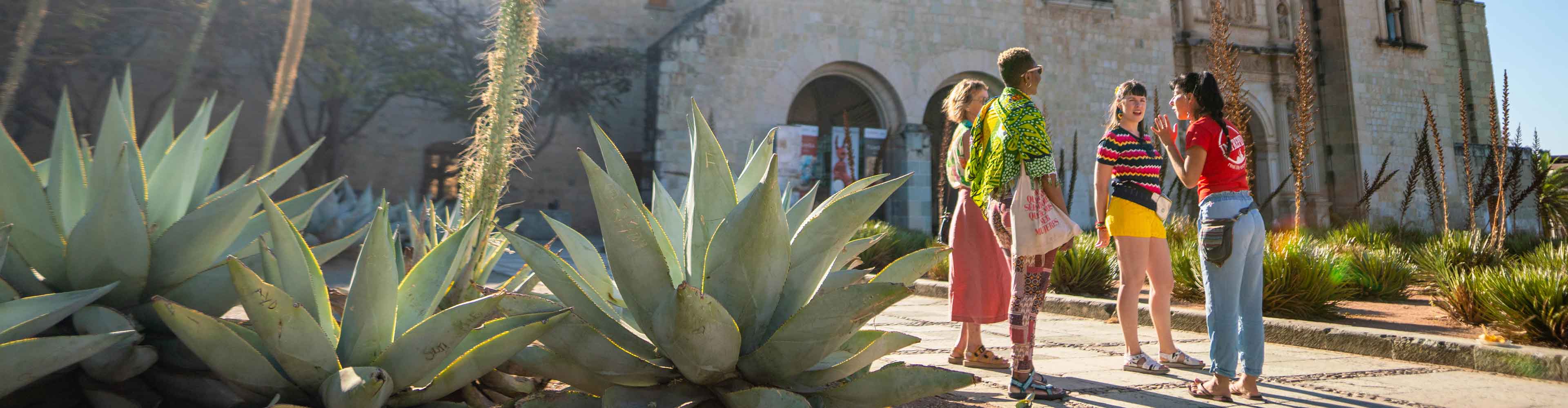 Group of travellers with their leader in Oaxaca city in Mexico