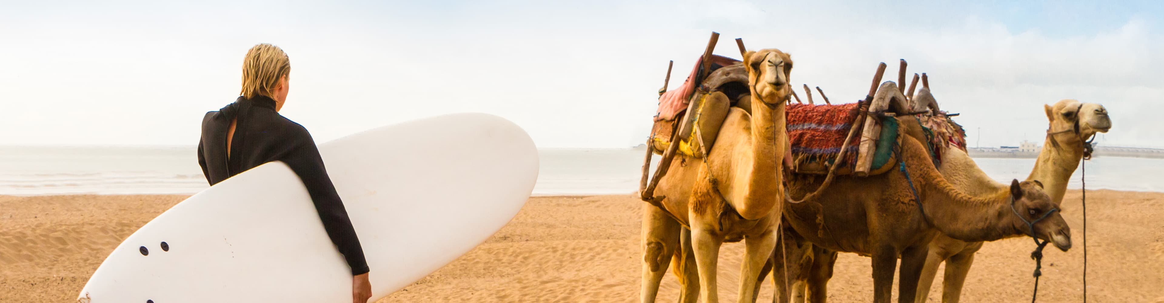 GEMB_morocco_essaouira_beach_surfing_camel