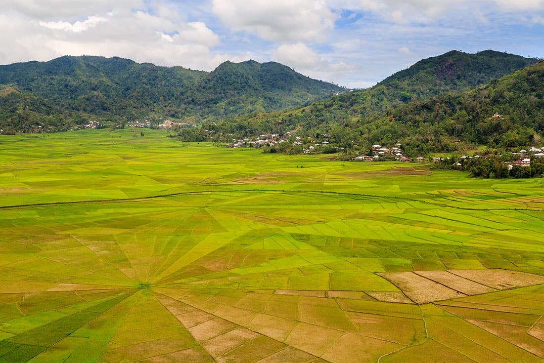 Aerial view of famous spiderweb shaped rice terraces at Flores island, Indonesia