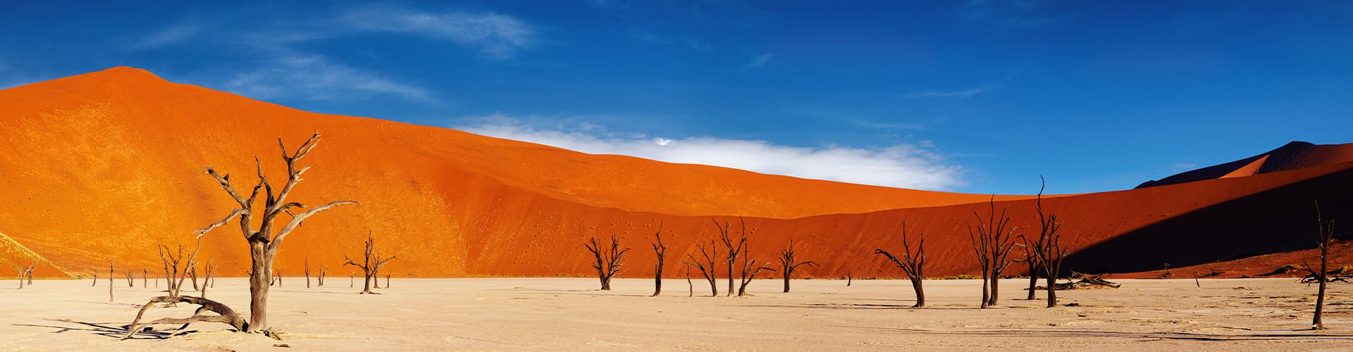 UBPN - Red sand desert Sossusvlei, Namibia