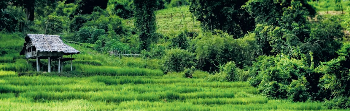 Thailand, green hills