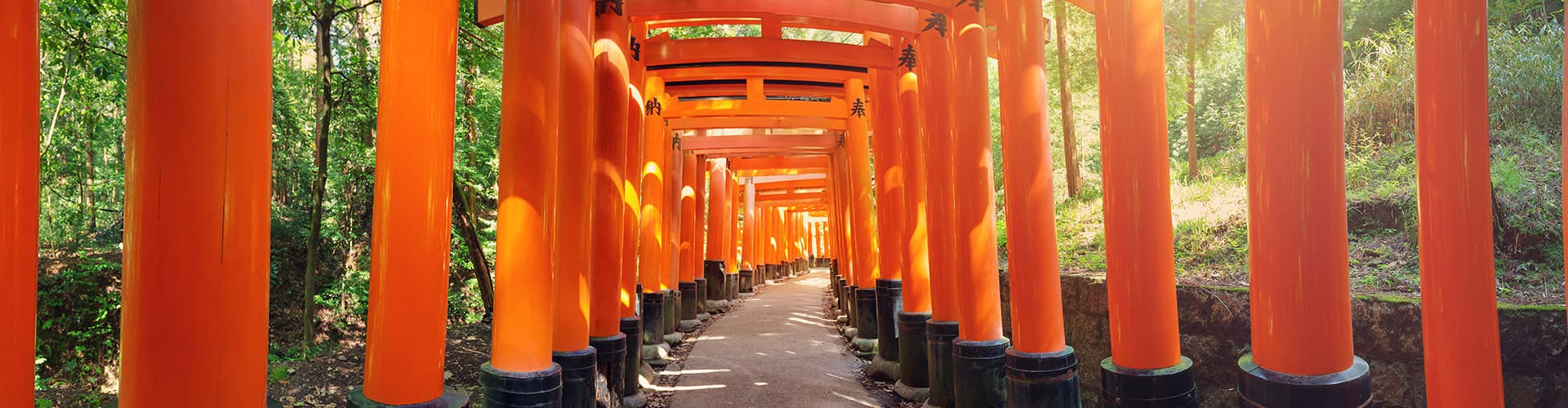 Red torii gates of Fushimi Inari, Kyoto, Japan