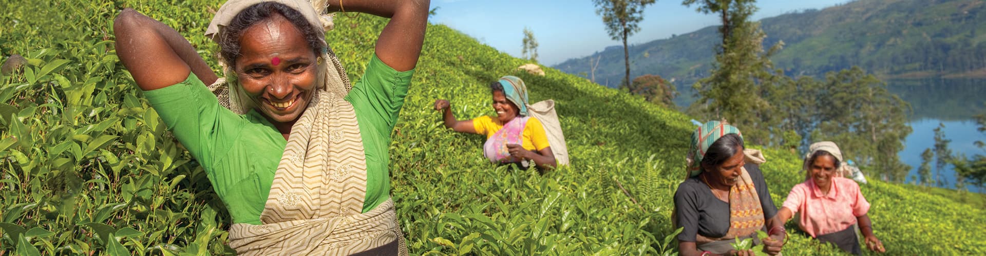 sri lanka tea pickers women smile