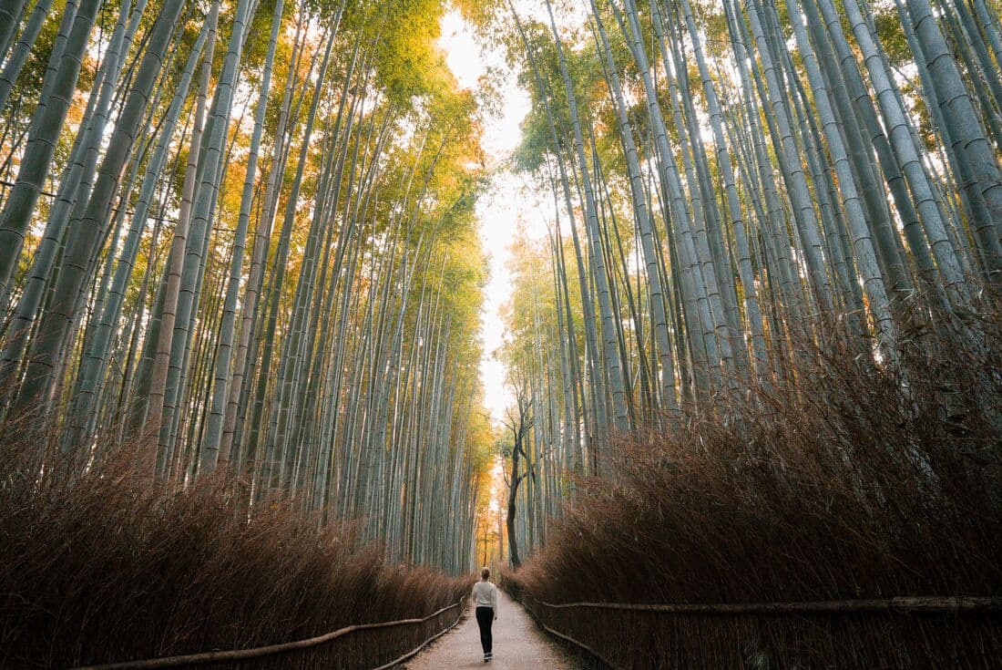 Japan: Land of the Rising Sun