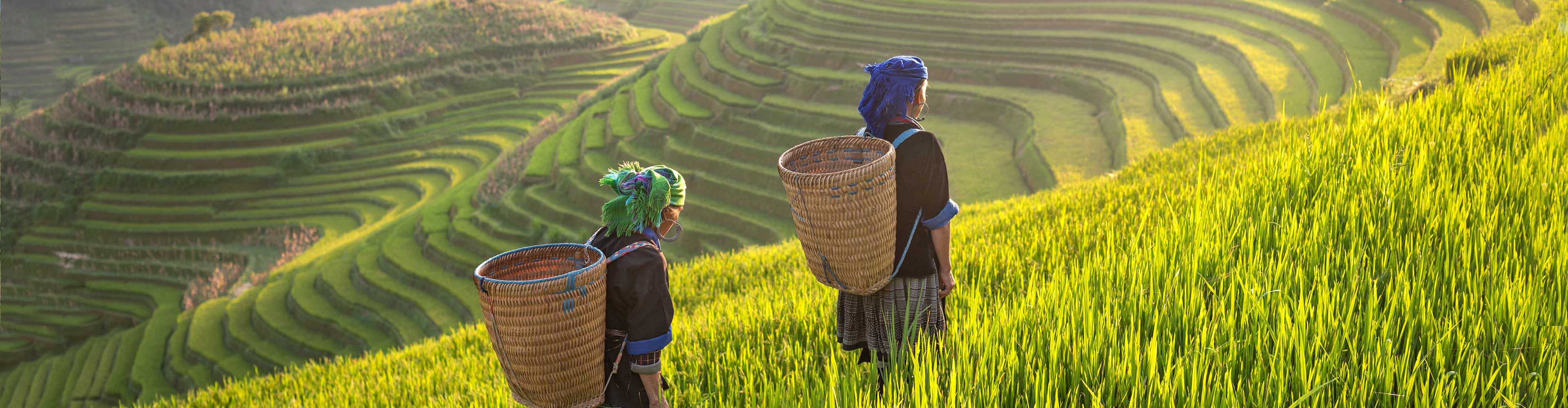 Thailand Hilltribe Trek with Intrepid Travel