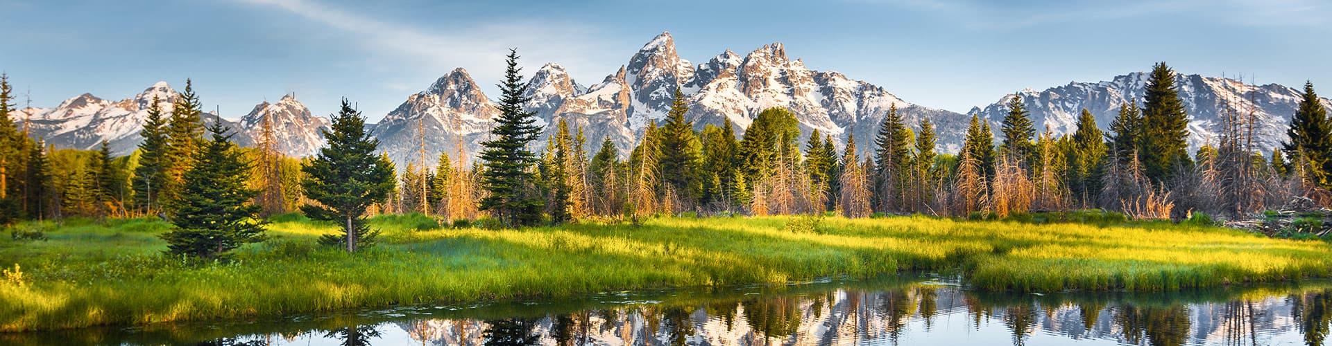 SASY - Grand Teton mountains landscape