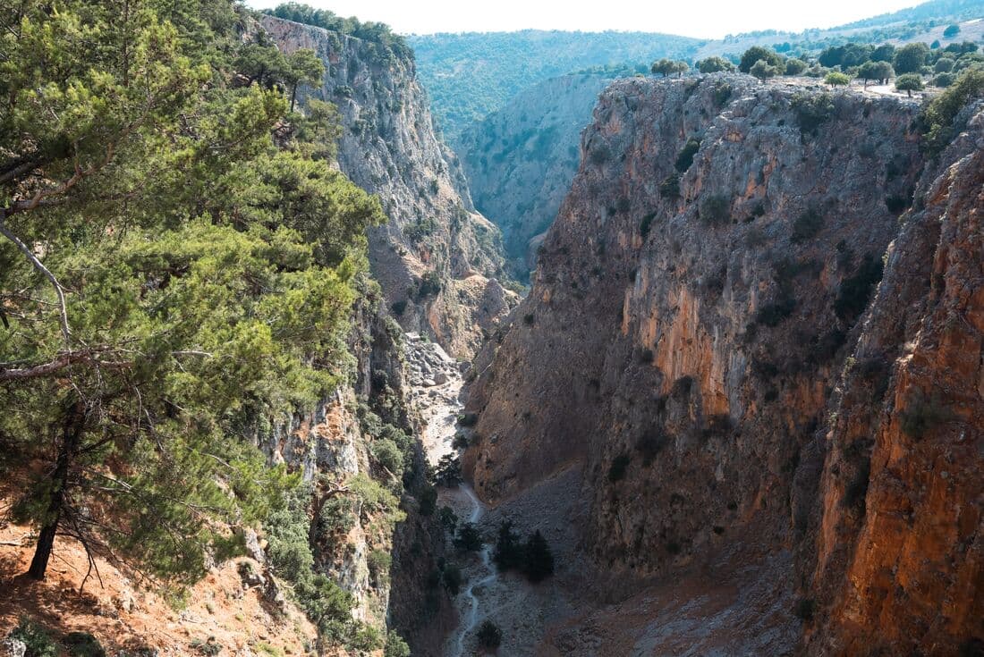 A creek winds through the base of steep cliffs of Agia Irini gorge with a single large tree on the left
