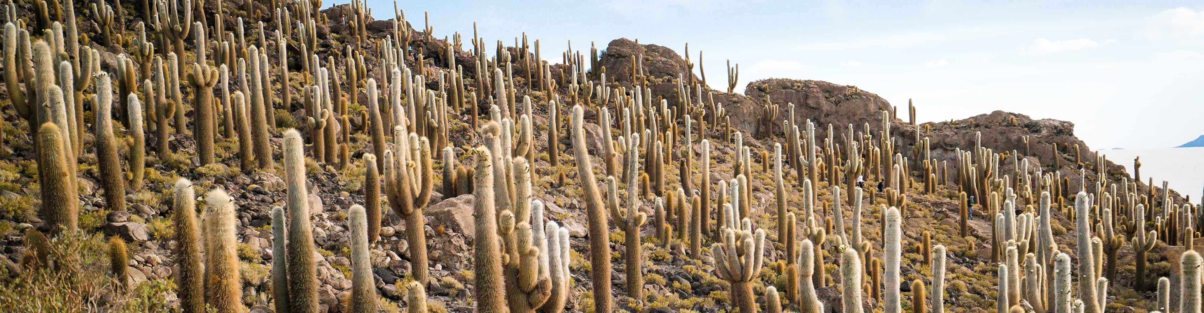 GGBJ_bolivia_salar-de-uyuni_banner