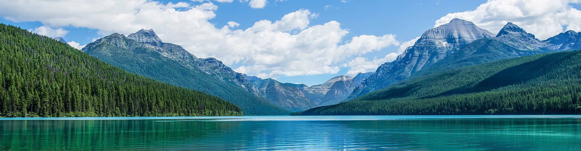 Bowman Lake, Glacier National Park