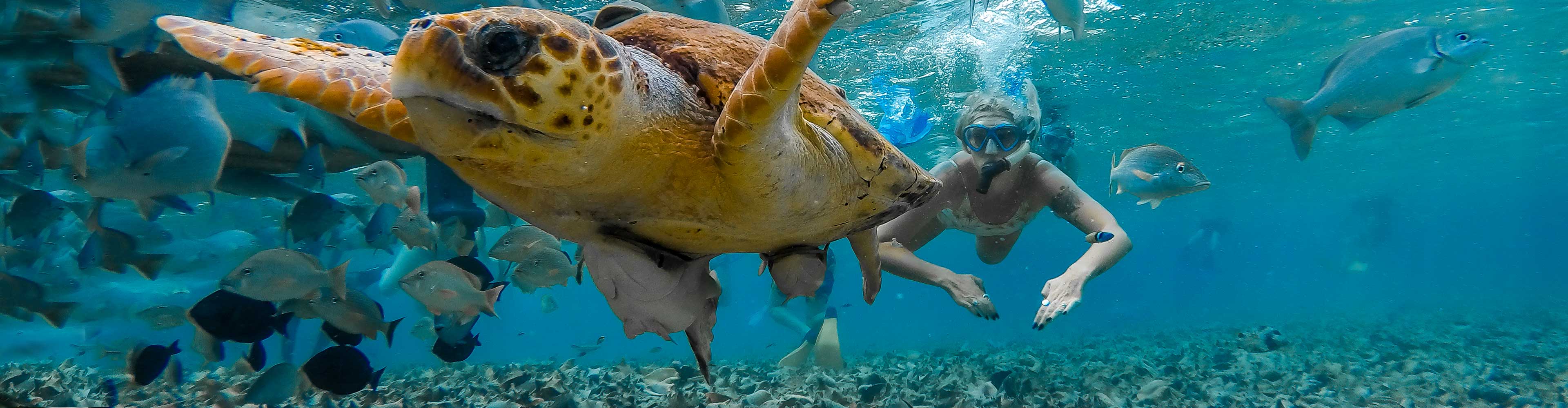 Real Central America - 18 to 29s small group adventure with Intrepid Travel