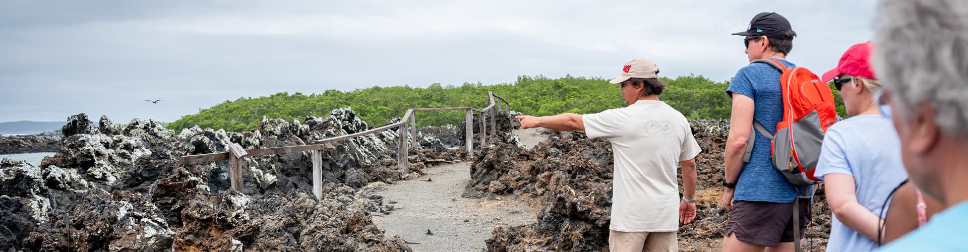 Galapagos Isla Isabela las Tintoreas