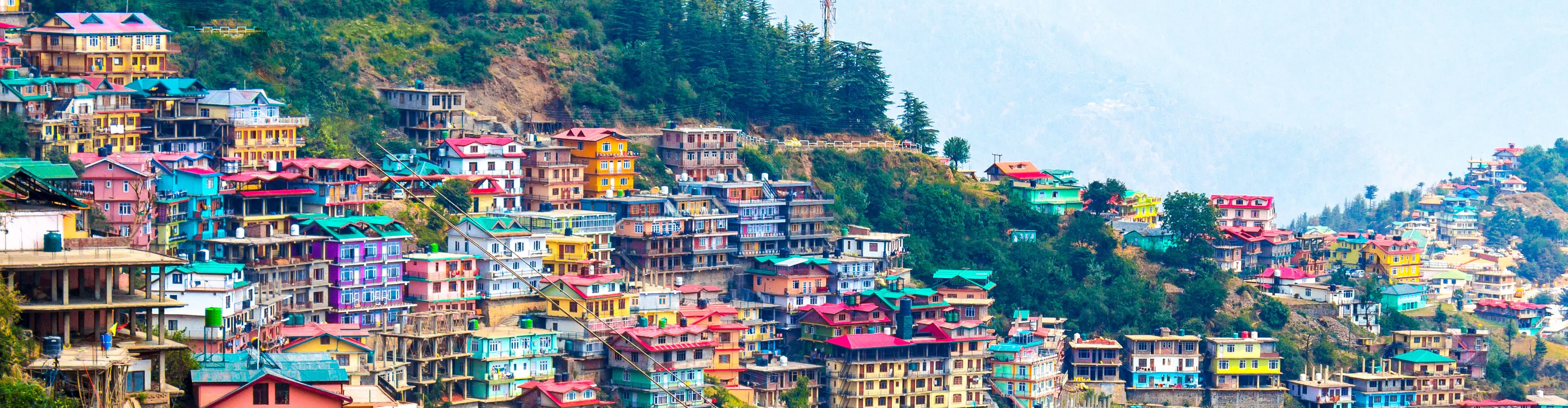 Shimla