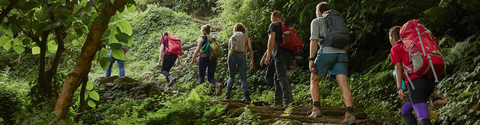 Travellers hiking in Nepal