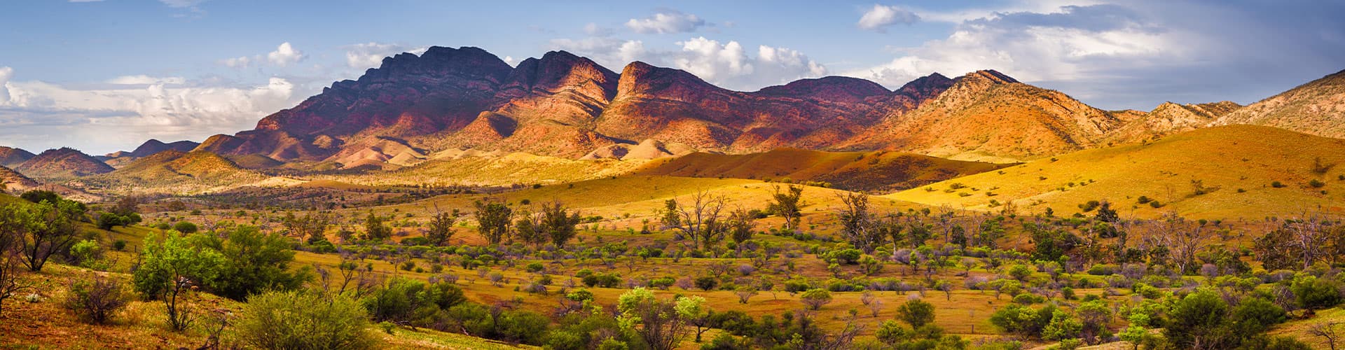 The Flinders Ranges at golden hour, South Australia
