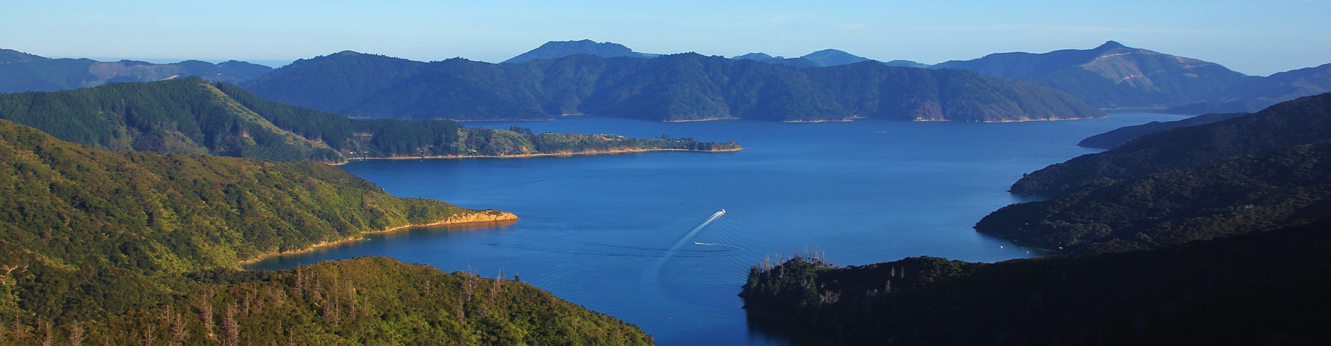 Aerial view Marlborough Sounds, South Island, NZ