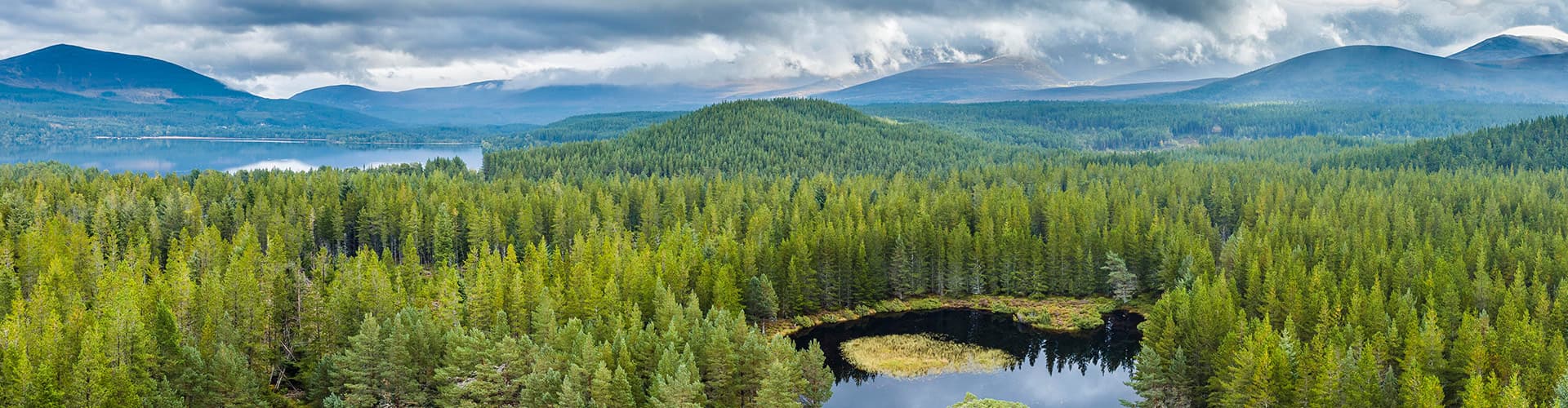 Aerial view of Cairngorms NP, Scotland