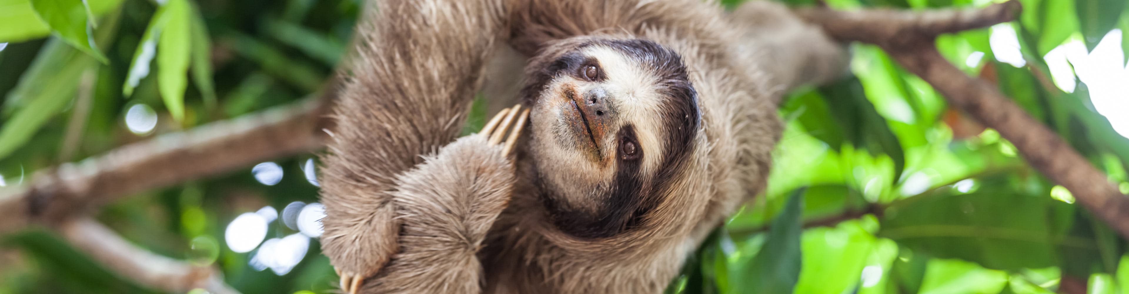 Experience the highlights of Central America with Peregrine Adventures