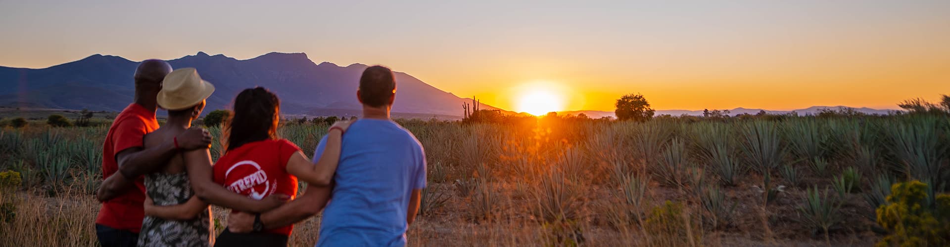QBPMC - Group watching sunset in field after Mezcal factory tour