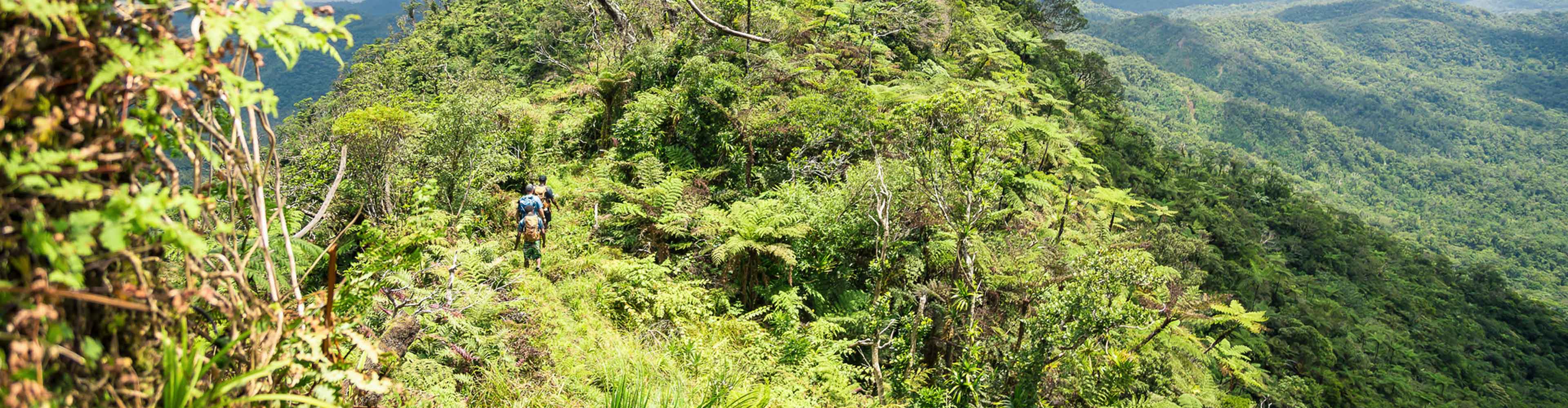 Trek through the highlands of Fiji with Intrepid Travel