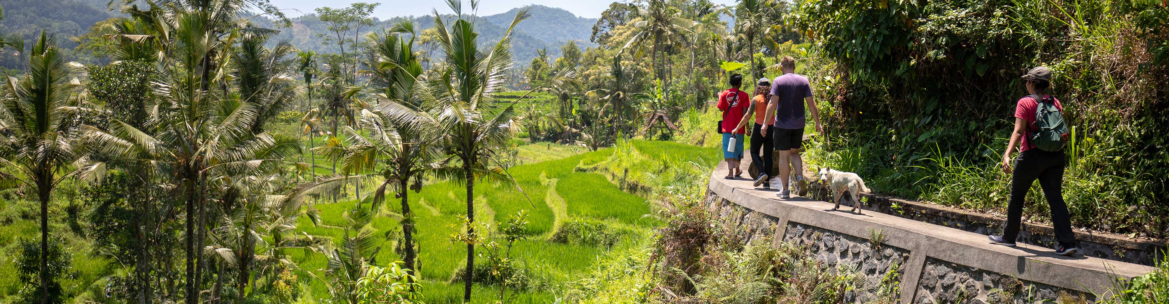 Have an adventure in Bali & Lombok with Intrepid Travel