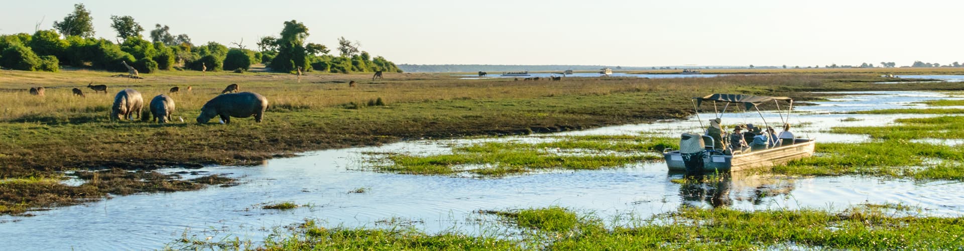 UBPKC - Travellers on river cruise spotting animals in Chobe NP, Botswana