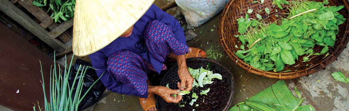Local vietnamese woman with vegetables