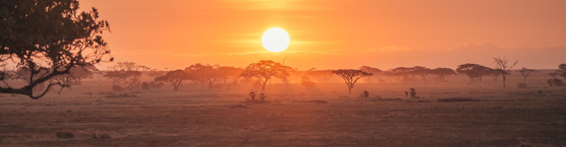 Gorillas & East Africa Safari