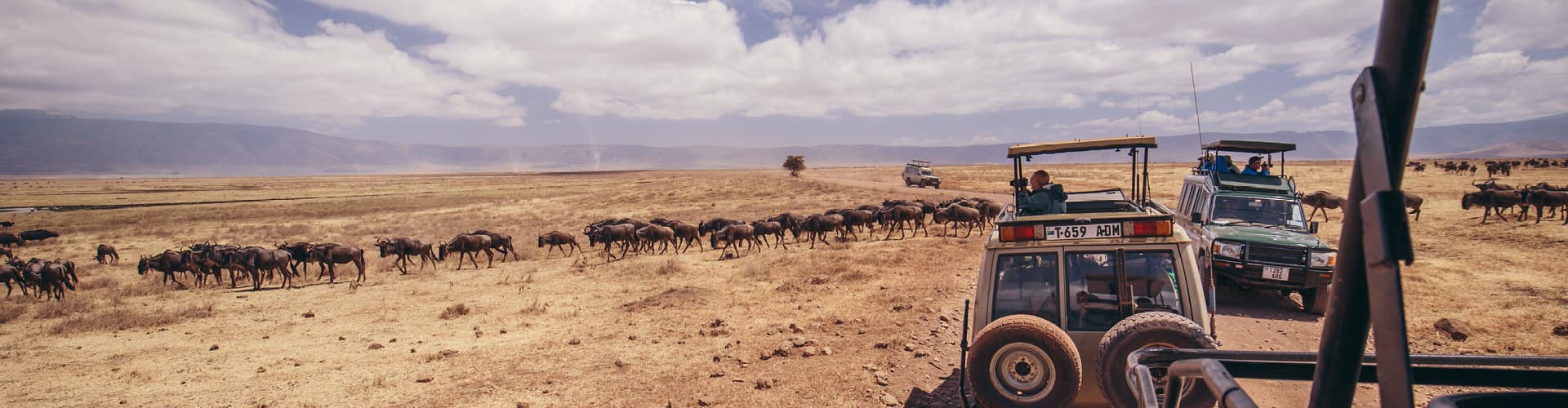 Intrepid Travel Tanzania Serengeti
