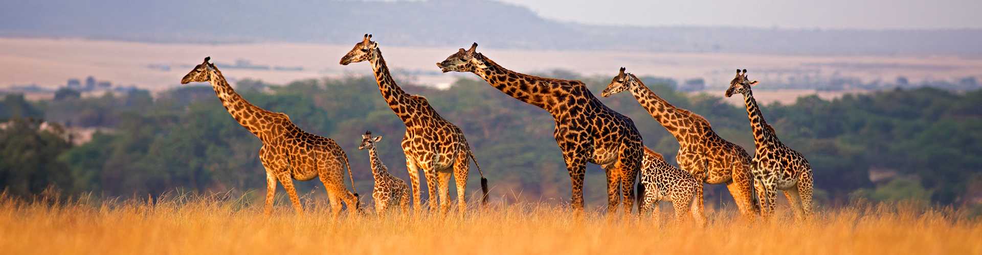 The Maasai Heartlands