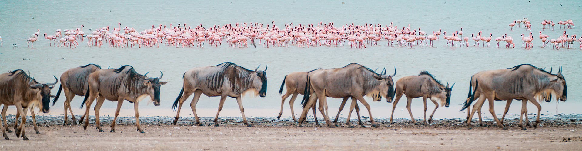 Best of East Africa