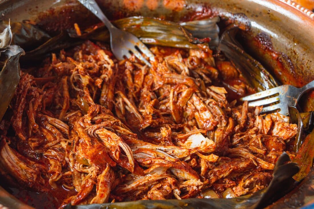 Close up shot of Mexican dish cochinita pibil