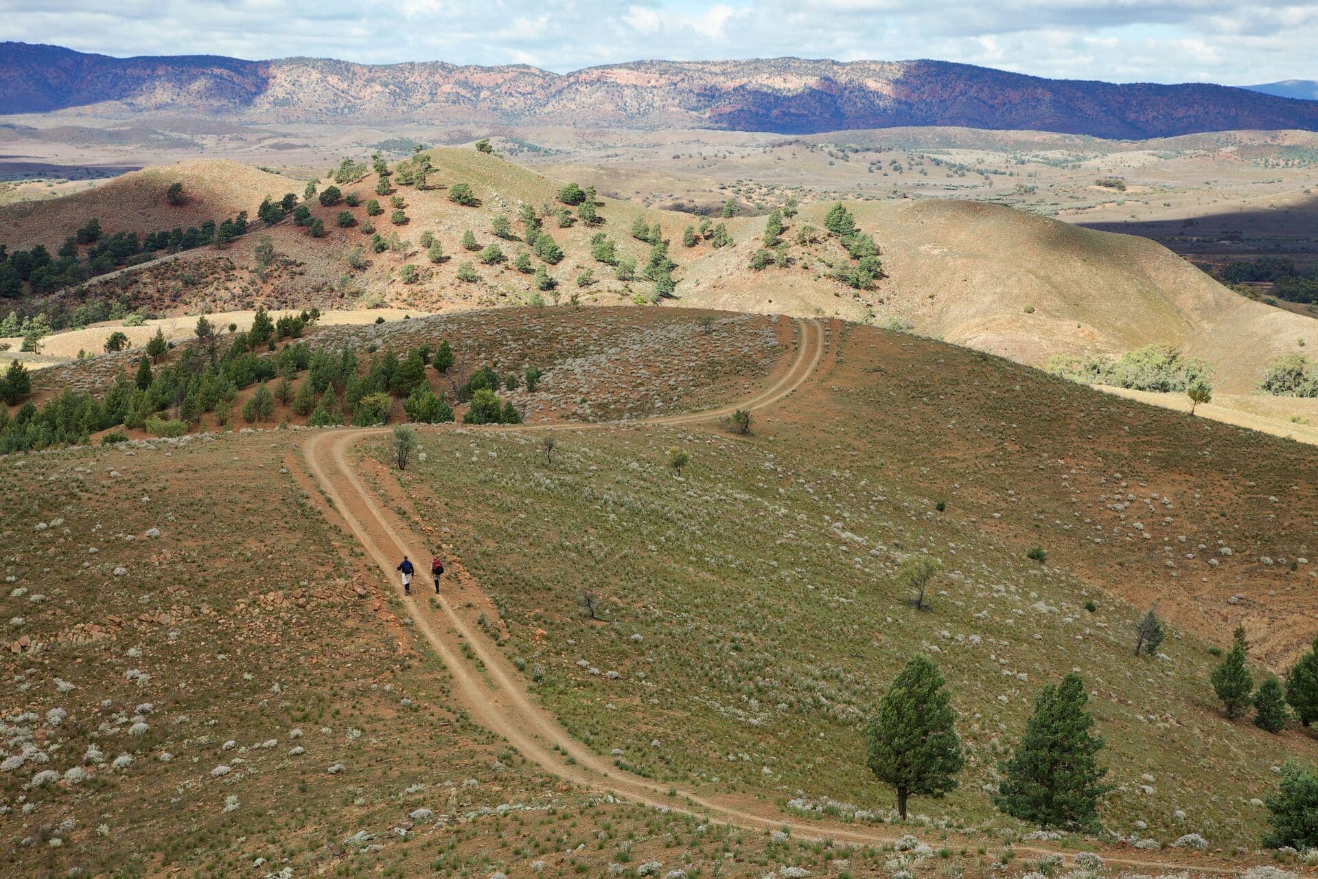 South Australia's Arkaba Walk (ex-Adelaide)