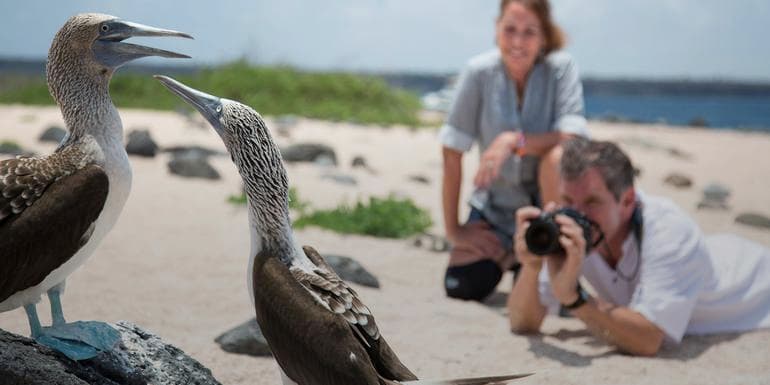 The Galápagos: Wildlife of Santa Cruz & Isabela Islands image