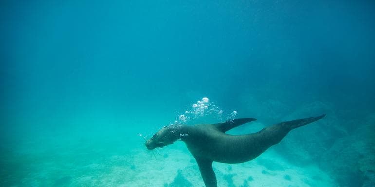 Galápagos Land & Sea — Central & South Islands aboard the Yolita image