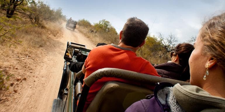 Kruger, Cape Town & Falls image