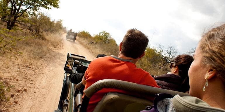 Ultimate African Safari: Kruger, Hwange, Chobe, & the Okavango Delta image