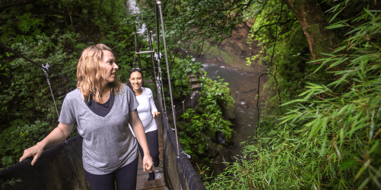 Costa Rica: The Wonders & Wildlife of the North image