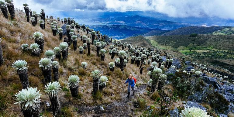 Colombia Multisport image
