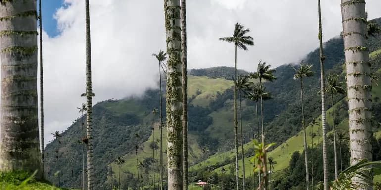 Journeys: Explore Colombia image