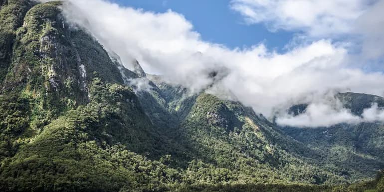 Solo-ish New Zealand image