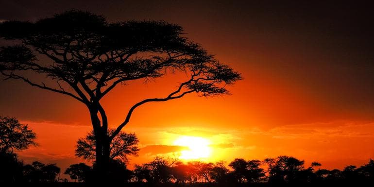 Nairobi to Zanzibar: Serengeti & Sunsets image