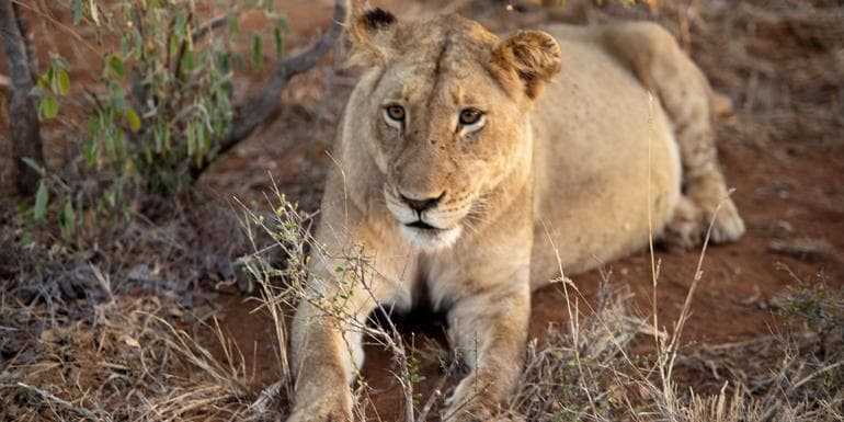 Southern Africa Adventure image