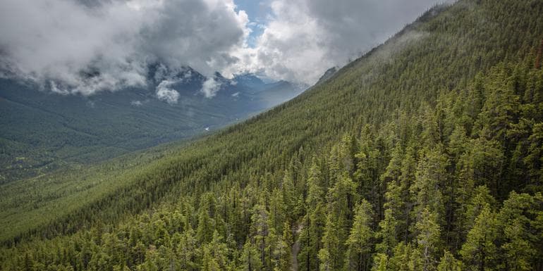 Active West Coast & Canadian Rockies image