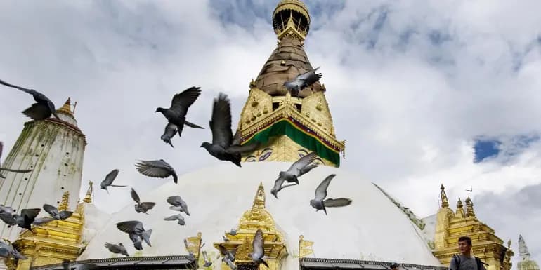 Nepal & Bhutan: From the Annapurna Foothills to Tiger's Nest image