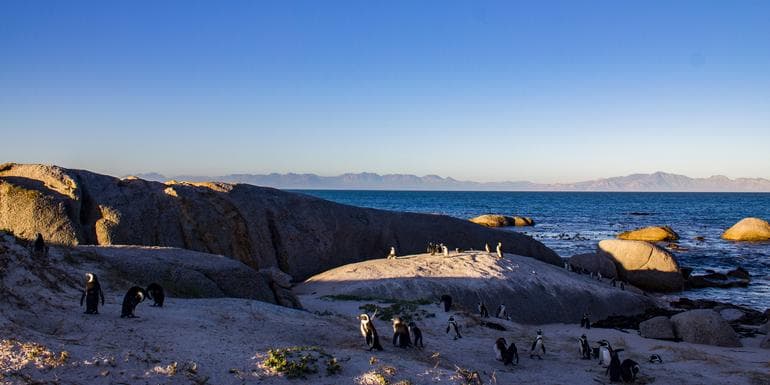 TailorMade Southern Africa: Cape Town, Safaris & Victoria Falls image