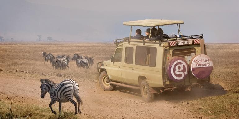 Tanzania Safari Experience image