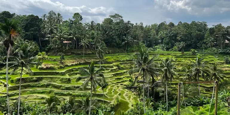 Bali's Wild Heart: Soul, Surf & Spirit image