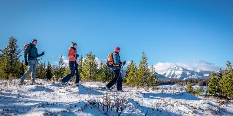 Canadian Rockies Winter Adventure image