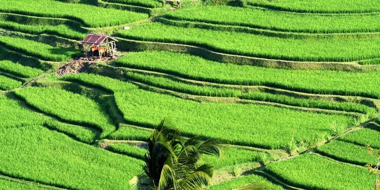 Indonesia: Bali Adventure image